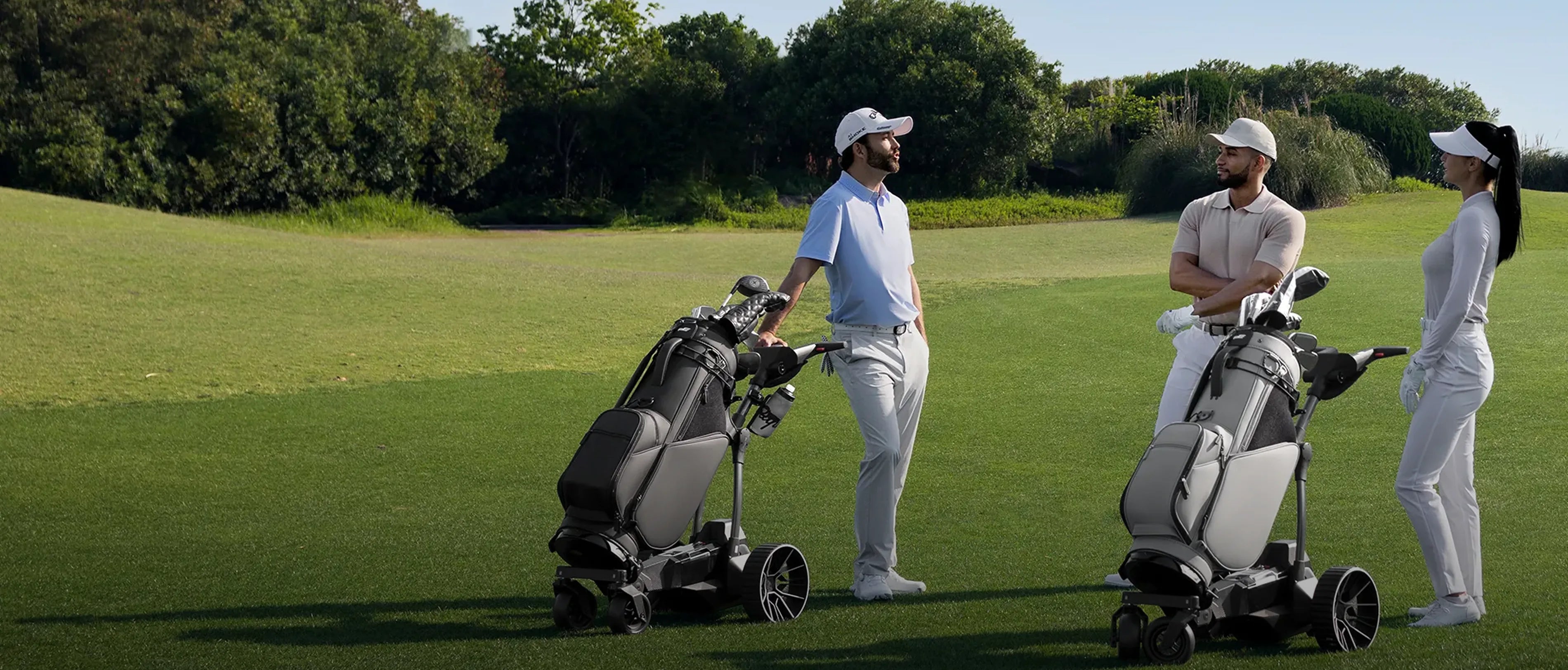 Carrito de golf